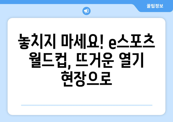 e스포츠 월드컵 조 편성과 한국어 중계 시청 안내