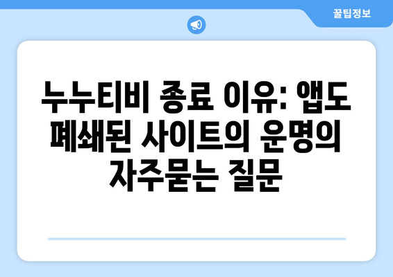 누누티비 종료 이유: 앱도 폐쇄된 사이트의 운명