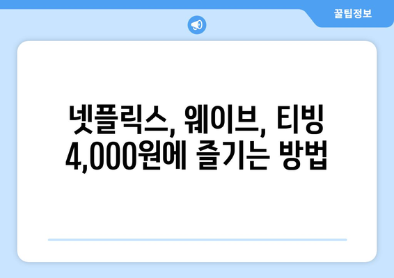 4,000원으로 OTT 가입하는 방법