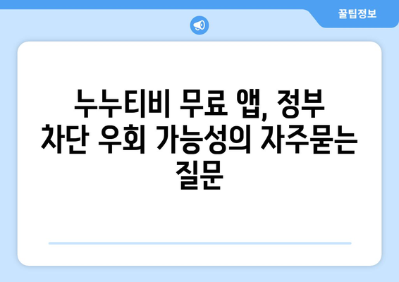 누누티비 무료 앱, 정부 차단 우회 가능성