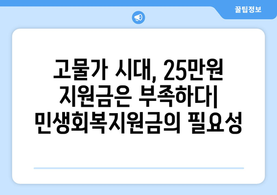 25만원 기초생활수급자 지원금 대안으로서의 민생회복지원금