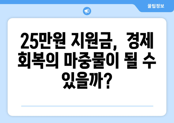 25만원 민생 지원금 지급으로 인한 경제 효과 예상