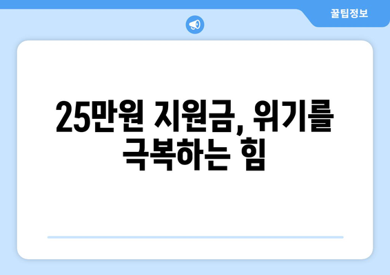 민생 회복을 이끄는 25만원 지원금: 어둠 속에서 밝은 별