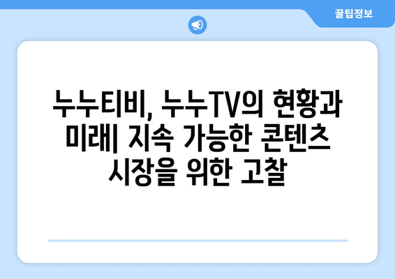 누누티비와 누누TV의 현황 및 불법성