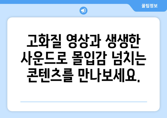 티비키위 플러스로 명품 콘텐츠를 만나보세요