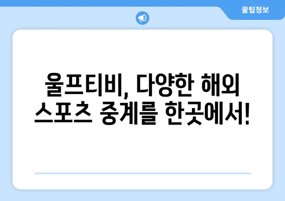 울프티비에서 해외 스포츠 중계