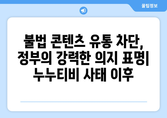 누누티비 재발 방지: 정부, 불법정보 우회 유통 차단 추진