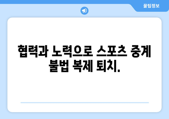 스포츠 중계 불법 복제를 퇴치하기 위한 협력