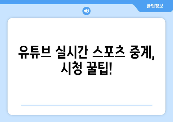 실시간 스포츠 중계를 위한 유튜브 활용