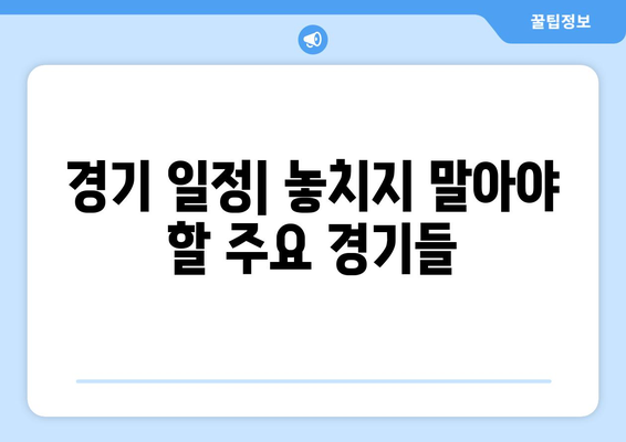 유로 2024 중계 일정 및 시청 가이드