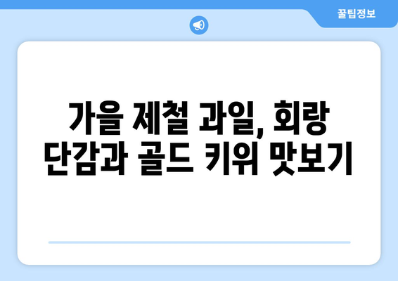 회랑 단감 골드 키위 사먹기 : 놀아주세요