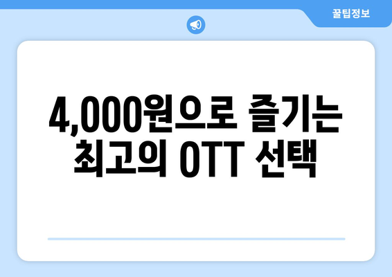 4,000원으로 OTT 가입하는 방법