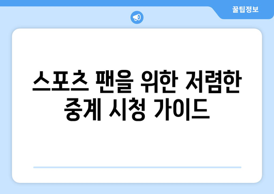 스포츠 중계 시청을 위한 예산 친화적 팁