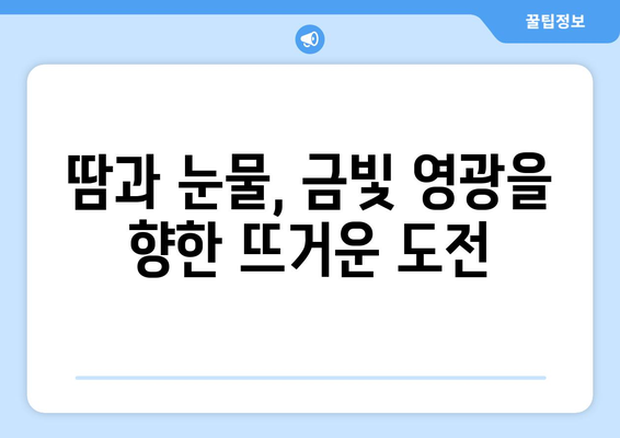 올림픽 금메달을 놓고 벌어지는 치열한 경쟁