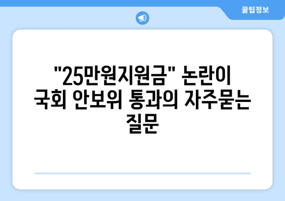 "25만원지원금" 논란이 국회 안보위 통과