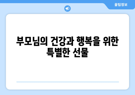 부모님께 드릴 수 있는 훌륭한 휴대용 예능 기기 추천