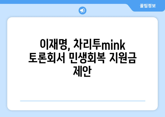 차리투mink 민생 토론회에서 이재명의 민생회복지원금 제안