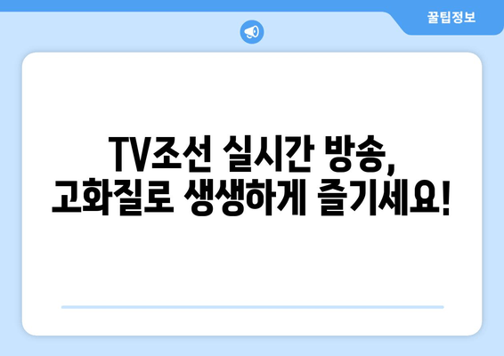 TV조선 고화질 실시간 시청 편성표