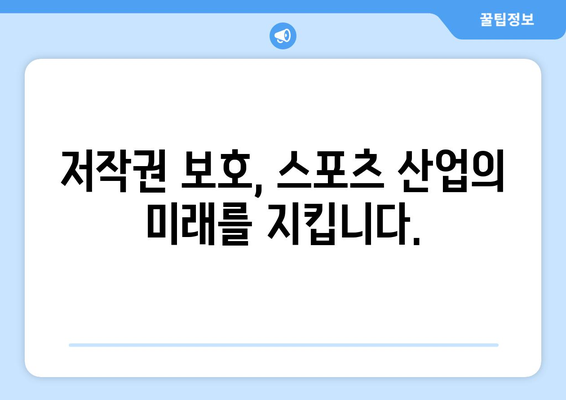 스포츠 중계 불법 복제를 퇴치하기 위한 협력