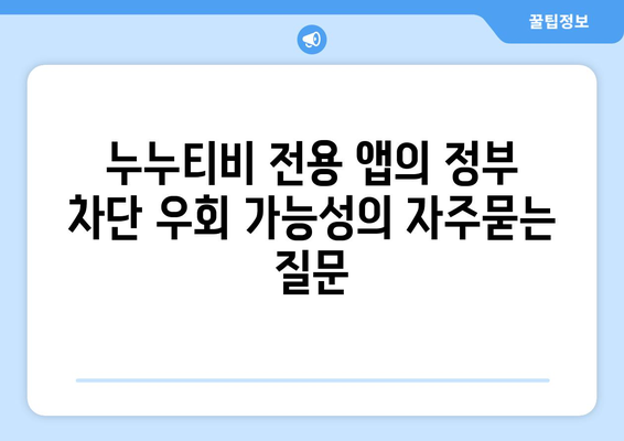 누누티비 전용 앱의 정부 차단 우회 가능성