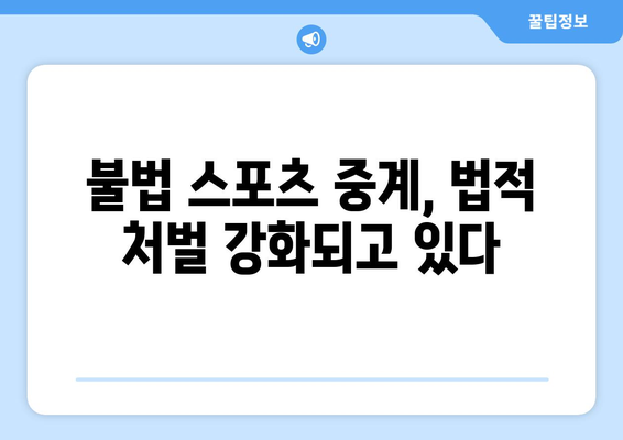 스포츠 중계 불법 복제의 법적 결과