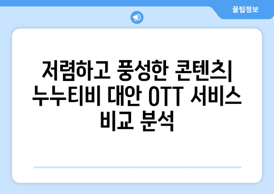 OTT 서비스 대체를 위한 누누티비의 대안 제공