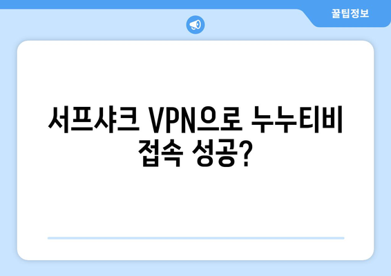 서프샤크 VPN을 통한 누누티비 접속 후기