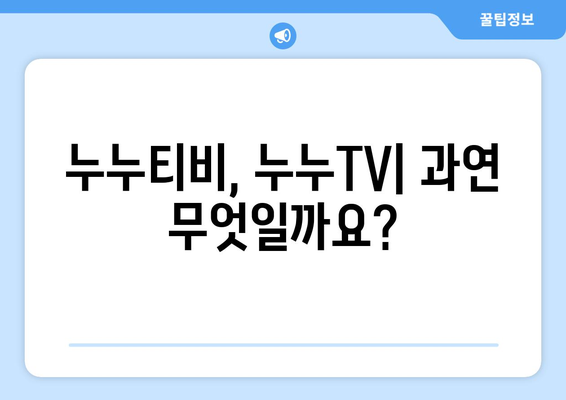 누누티비와 누누TV의 현황 및 불법성