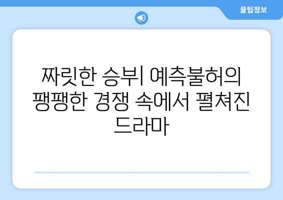 파리 올림픽 체조 경기 최고의 순간들