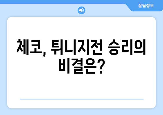 2024년 월드컵 체코 vs 튀니지 중계 인터뷰 및 경기 후 분석