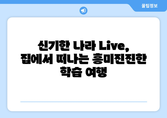 신기한 나라 Live 키위티비: 홈스쿨링을 신나게