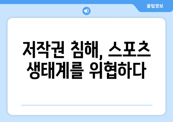 불법 스포츠 중계의 경제적 비용