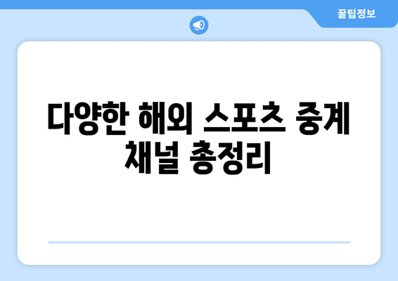 해외 스포츠 중계 및 실시간 중계 안내