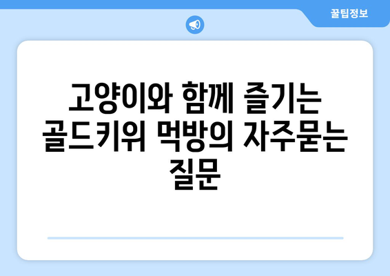 고양이와 함께 즐기는 골드키위 먹방