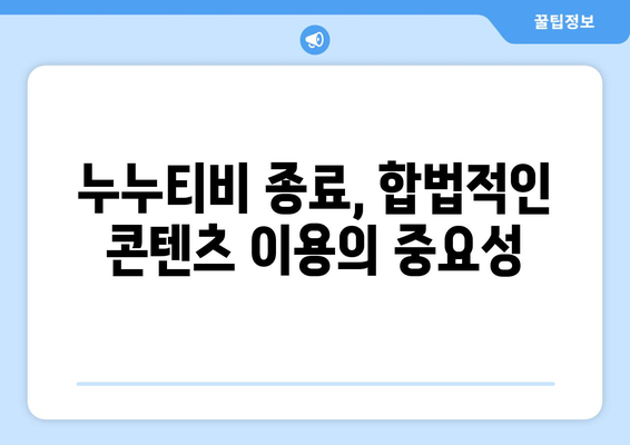 누누티비 종료 이유: 앱도 폐쇄된 사이트의 운명