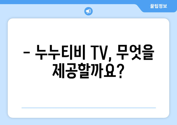 누누티비 TV: 개요 및 서비스 정보