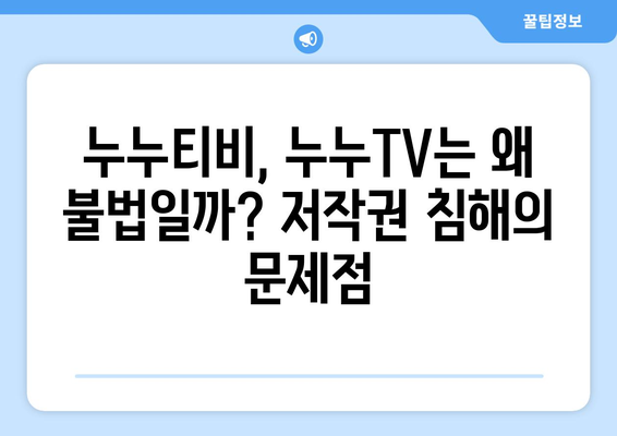 누누티비와 누누TV의 현황 및 불법성