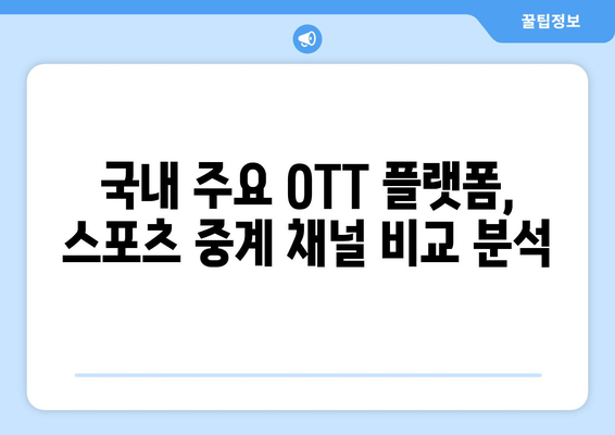 국내 OTT 스포츠 중계 채널 소개