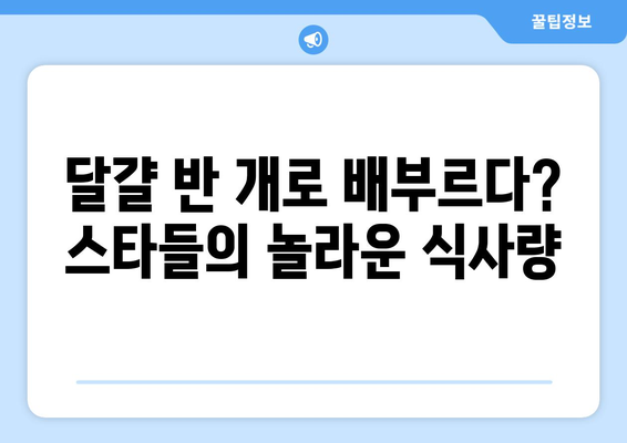 스타들의 식사 습관, 달걀 반 개로 배불러?