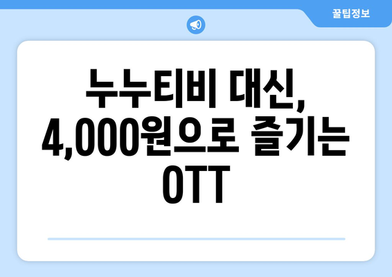 누누티비 없이 OTT를 4,000원에 구독하는 방법