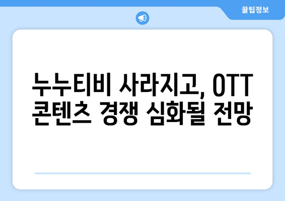 누누티비 사이트 폐쇄: OTT 경제효과