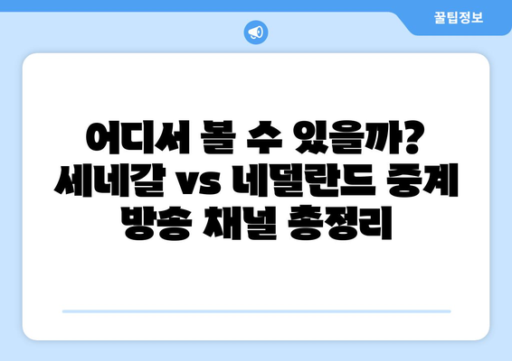 2024년 월드컵 세네갈 vs 네덜란드 중계 방송권 및 중계 옵션