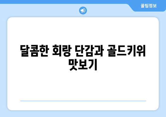 회랑 단감과 골드키위 사먹기, 놀이 콘텐츠