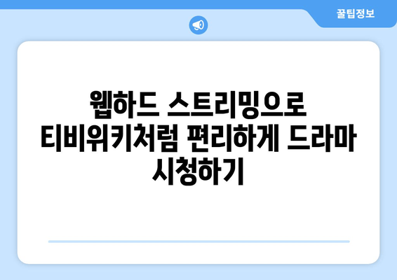 웹하드 스트리밍으로 티비위키 대신 시청