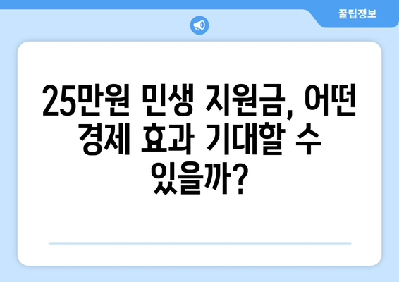 25만원 민생 지원금 지급으로 인한 경제 효과 예상