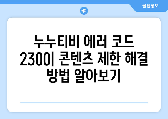 누누티비 에러 코드 2300: 콘텐츠 제한 관련 오류