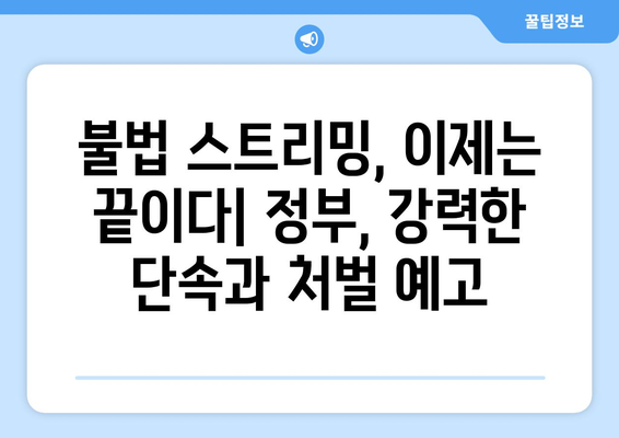 불법 스트리밍 봉쇄: 누누티비 재발 방지 정부 대책