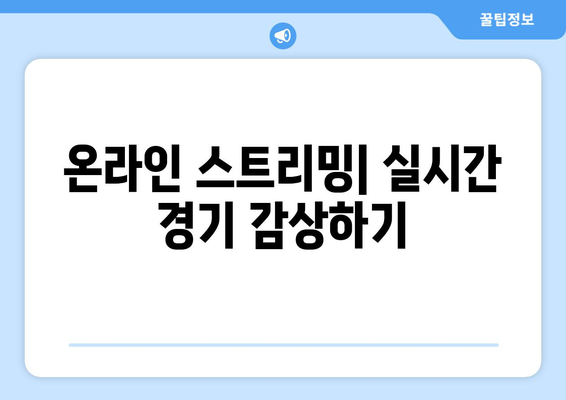 유로 2024 중계 일정 및 시청 가이드