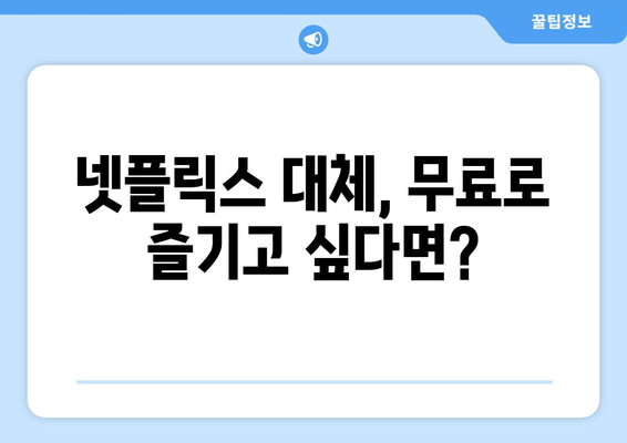 누누티비 폐쇄? 넷플릭스 대체 서비스 알아보기