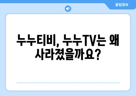 누누티비와 누누TV의 현황 및 불법성